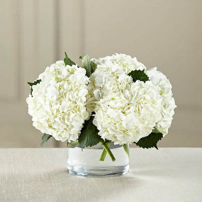White Hydrangea Bouquet –  Francis Florist, Pomeroy OH
