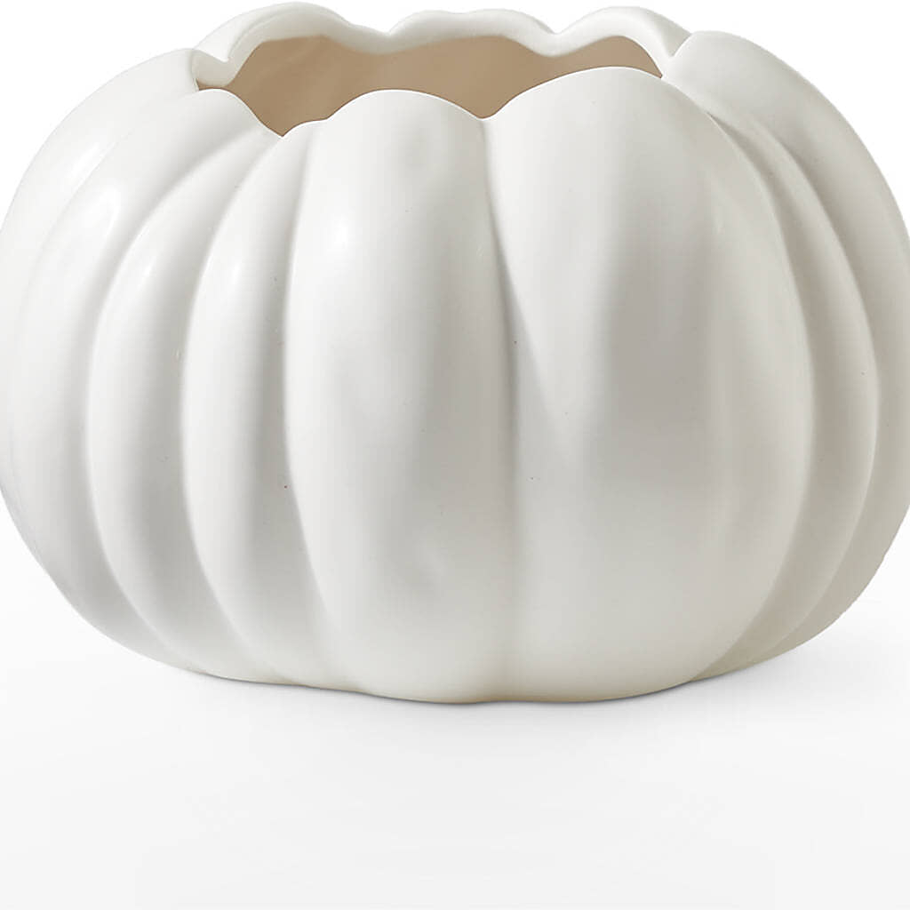 Autumn Air Pumpkin Bouquet –  Francis Florist, Pomeroy OH